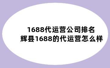 1688代运营公司排名 辉县1688的代运营怎么样